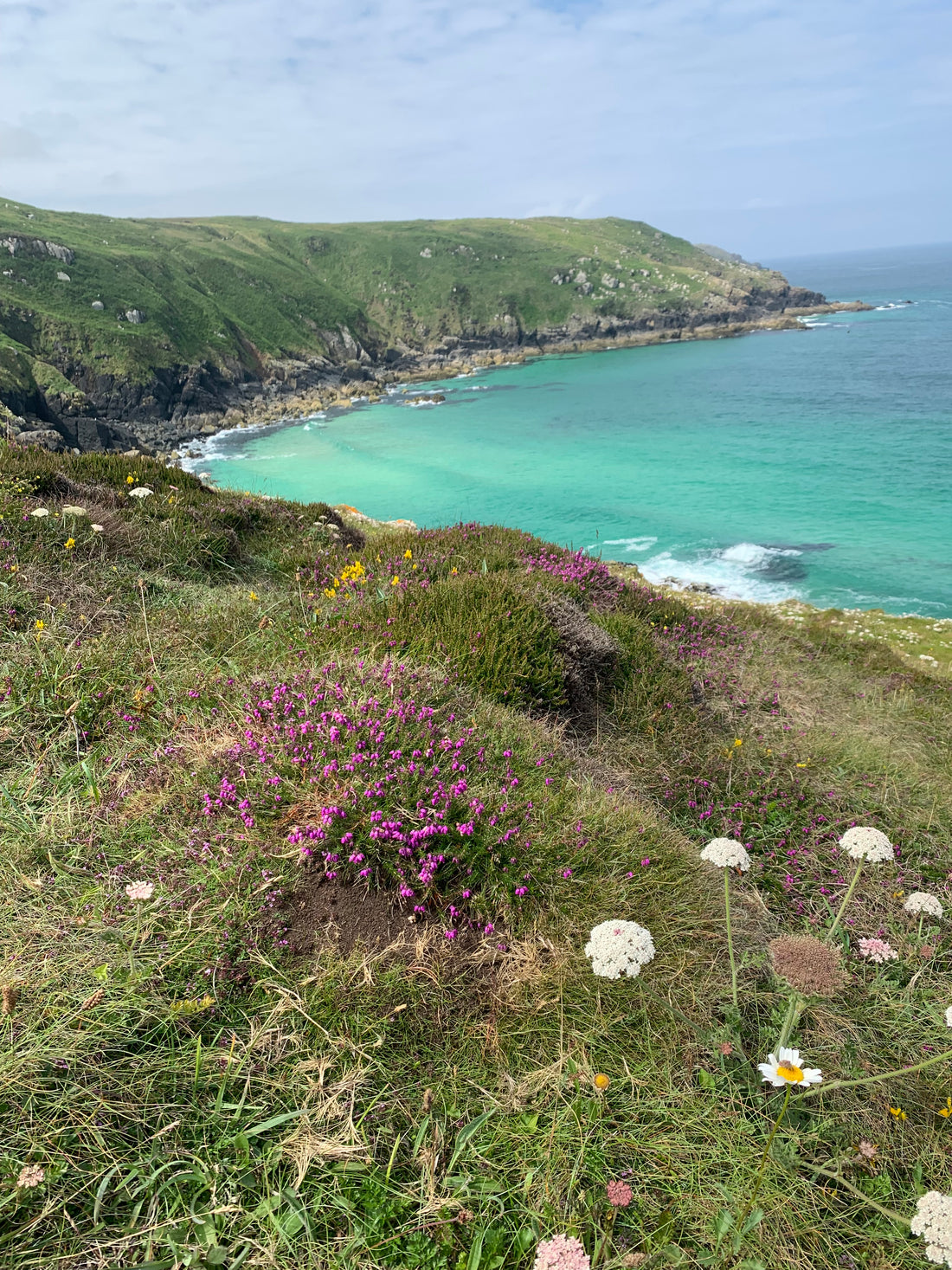 Cornish Collection